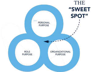 purpose-diagram